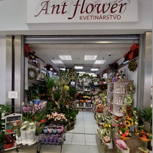 Kvety ANT FLOWER