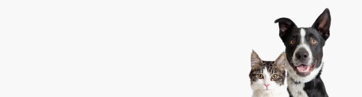 Chovateľské potreby